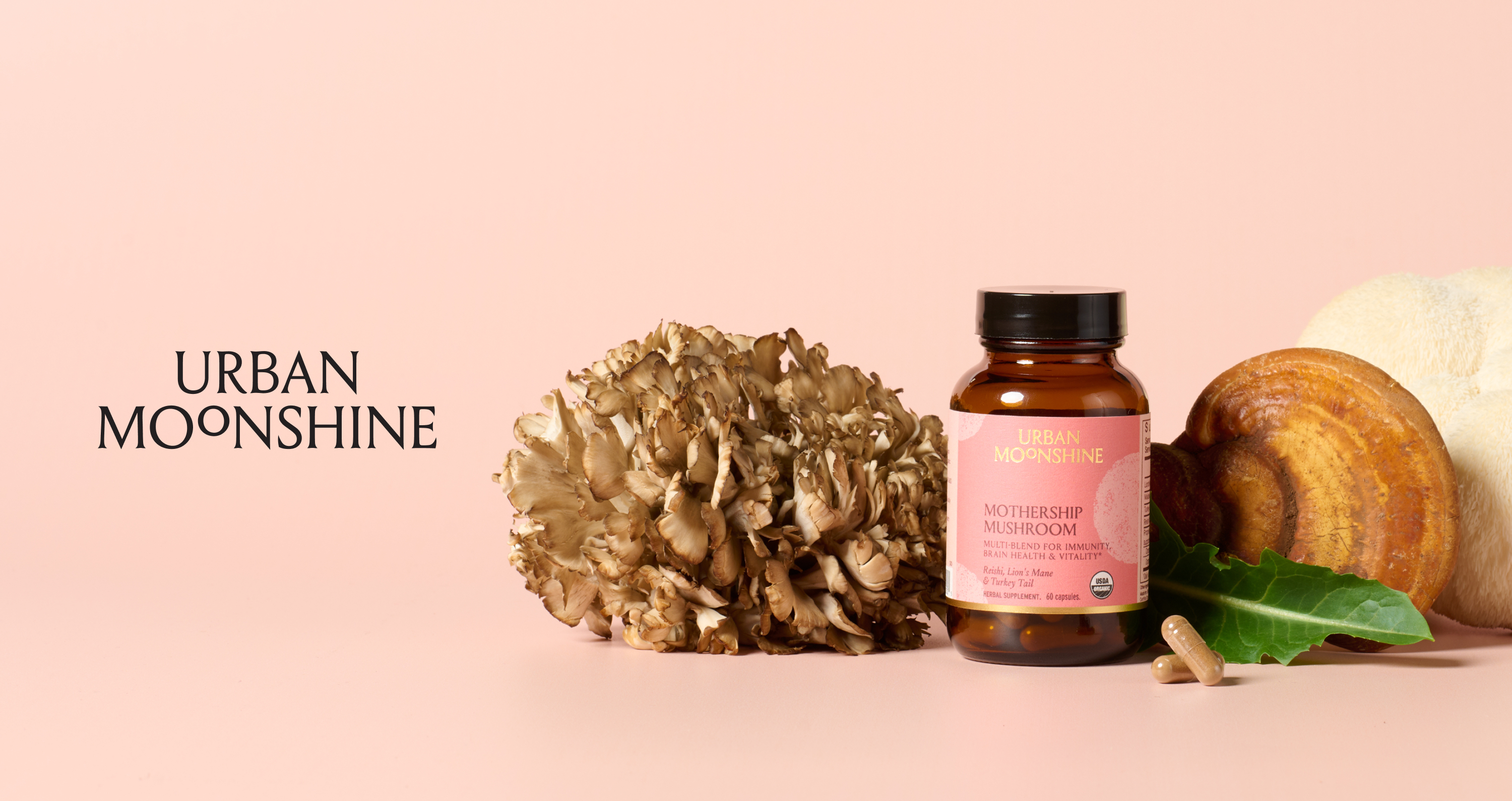 Logo on colored background